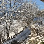 soschoenistsbeiuns-19_balcony-view.jpg