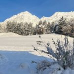 soschoenistsbeiuns-20_winter-view.jpg